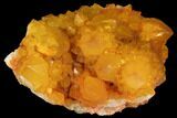 Sunshine Cactus Quartz Crystal - South Africa #98387-2